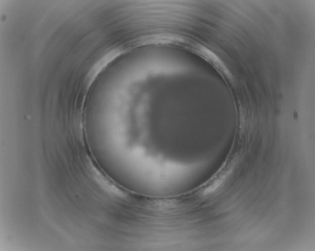 X0000076370802200610202013