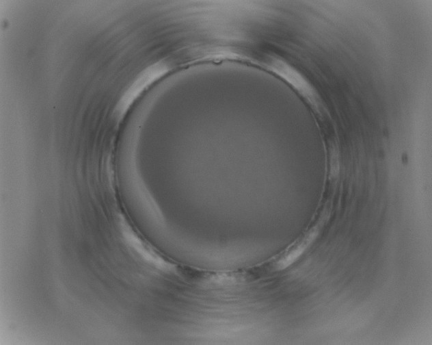 X0000076370806200610202013