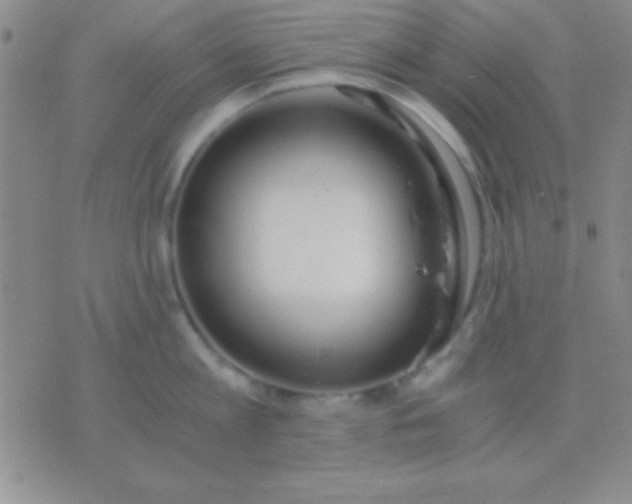 X0000076370813200610202013