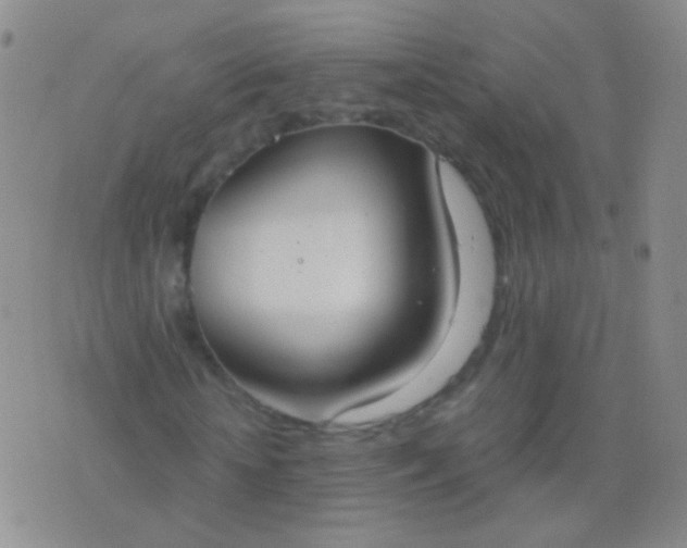 X0000076370818200610202012