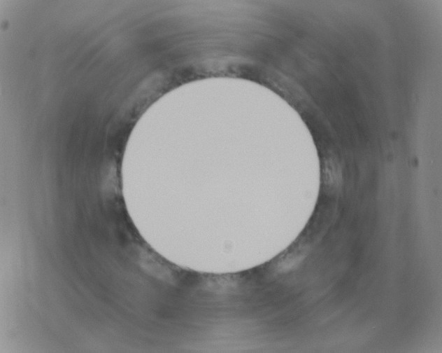 X0000076370820200610202012