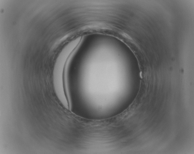 X0000076370822200610202012