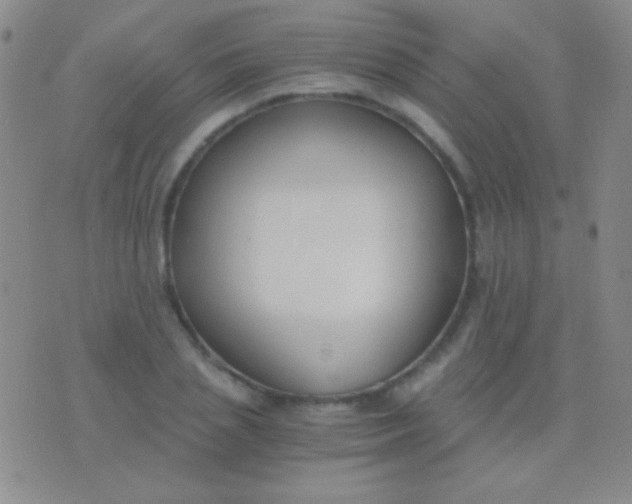 X0000076370837200610202012