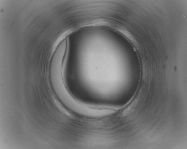X0000076370850200610202012