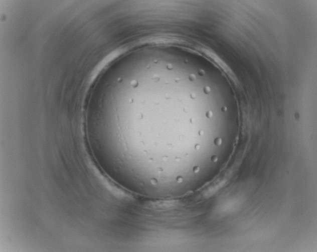 X0000076370853200610202012