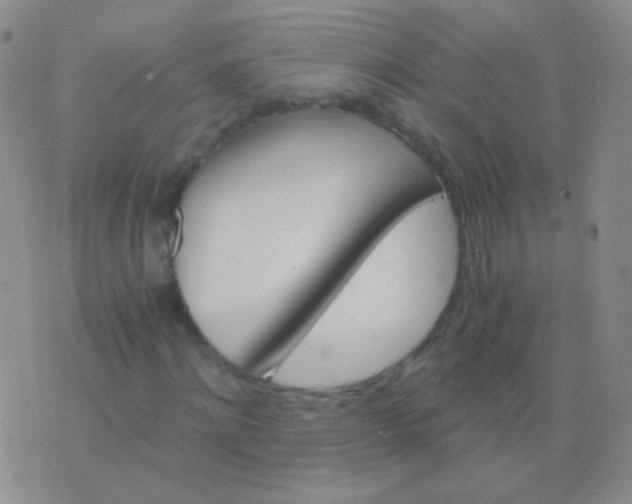 X0000076370868200610202012