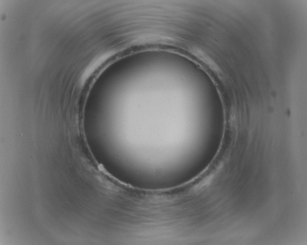 X0000076370877200610202011