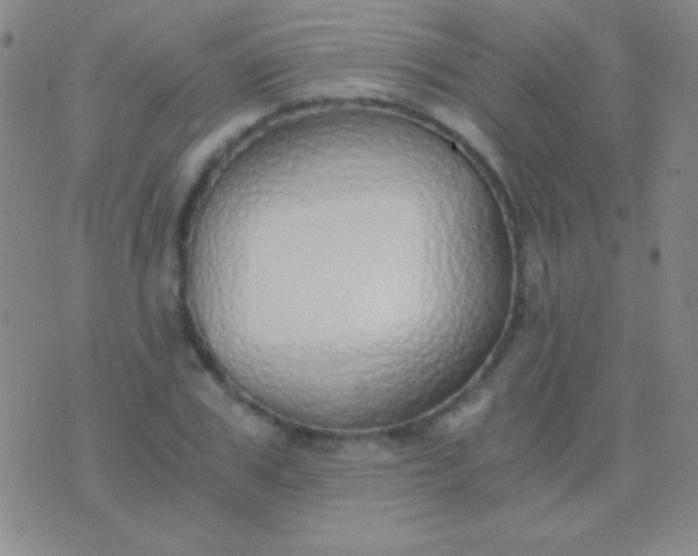 X0000076370979200610202010