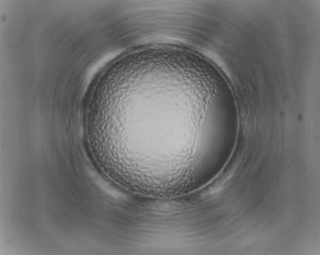 X0000076370987200610202010