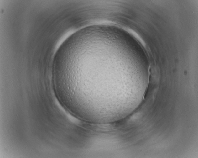 X0000076371007200610202009