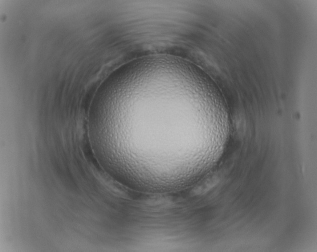 X0000076371012200610202009
