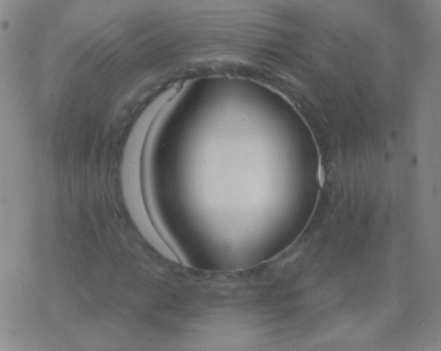 X0000076371014200610202009