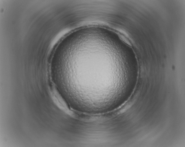 X0000076371038200610202009