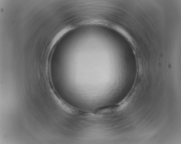 X0000076371050200610202009