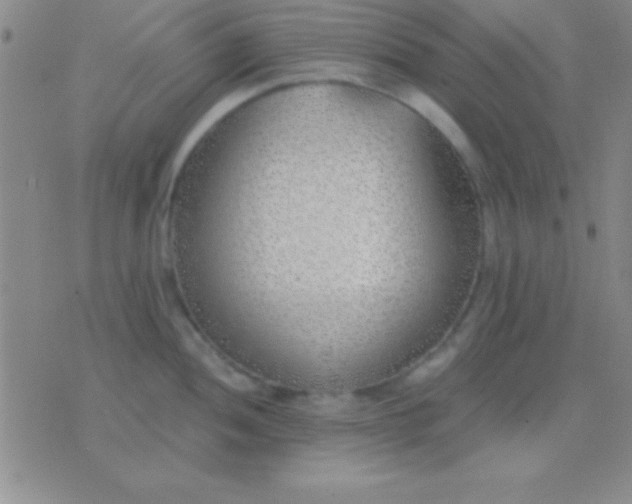 X0000076371052200610202009
