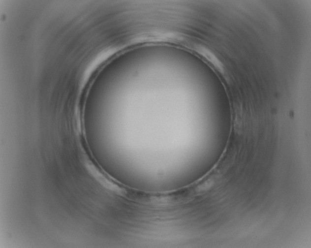 X0000076371080200610202008