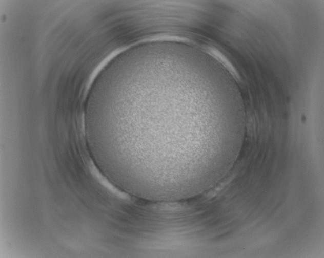 X0000076371092200610202008