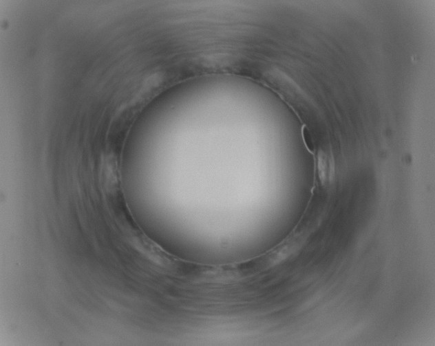 X0000076371107200610202007