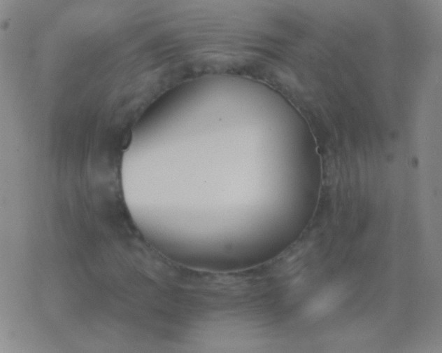 X0000076371109200610202007