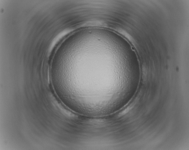 X0000076371123200610202007