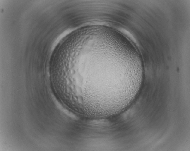 X0000076371133200610202007