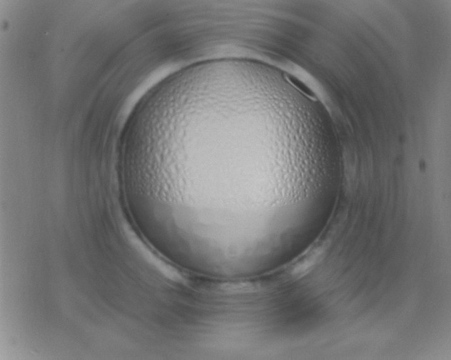 X0000076371142200610202008