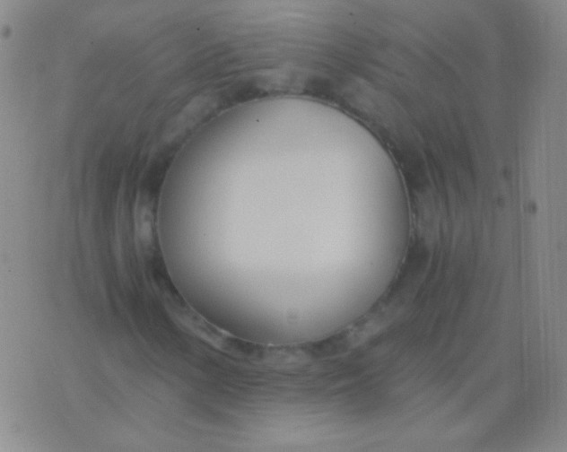 X0000076371154200610202007