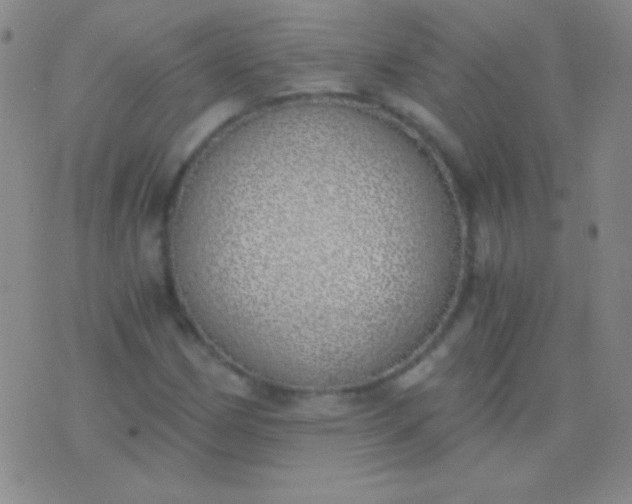 X0000076371162200610202007