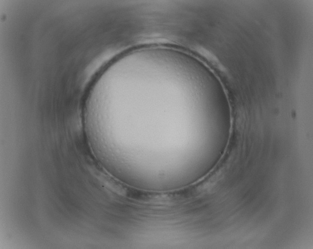 X0000076371167200610202007