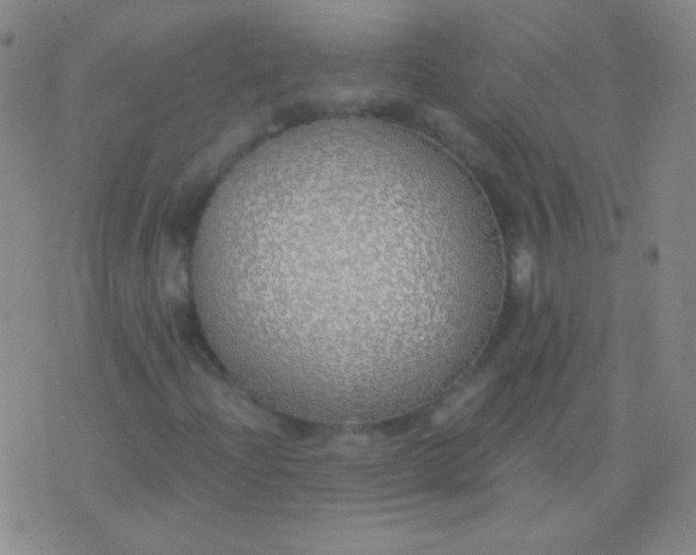 X0000076371204200610202006