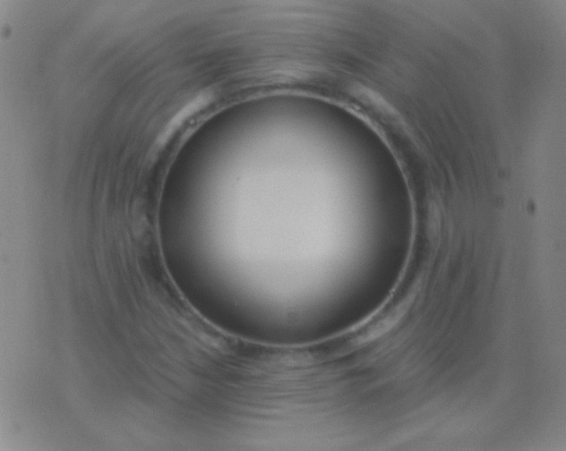 X0000076371210200610202006