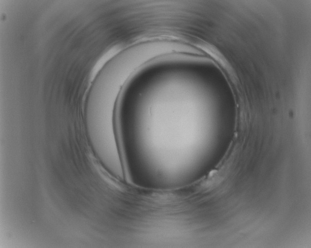 X0000076371242200610202006