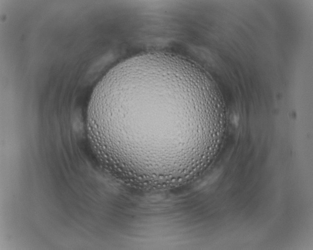 X0000076371252200610202005