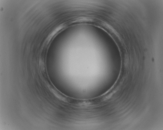 X0000076371321200610202004