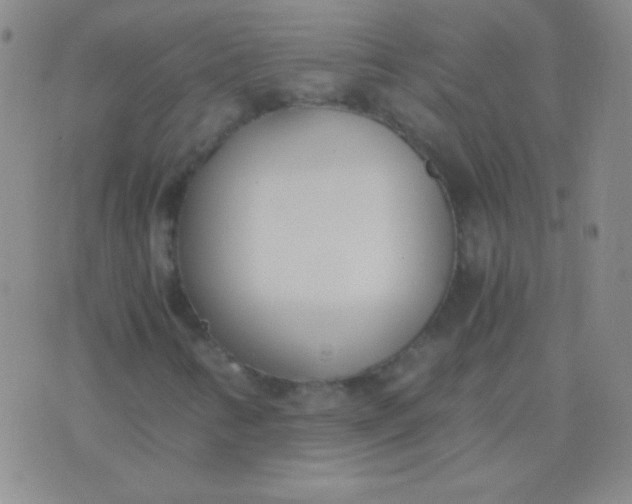 X0000076371346200610202004