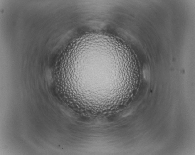 X0000076371347200610202004
