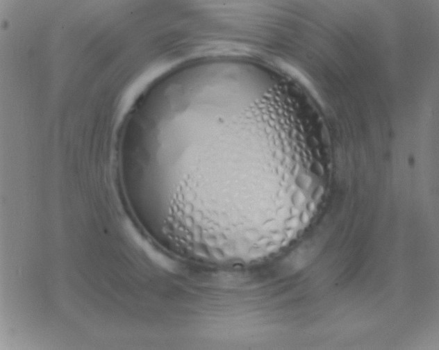 X0000076371379200610202003