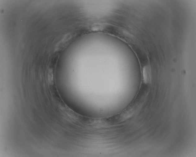 X0000076371443200610202002