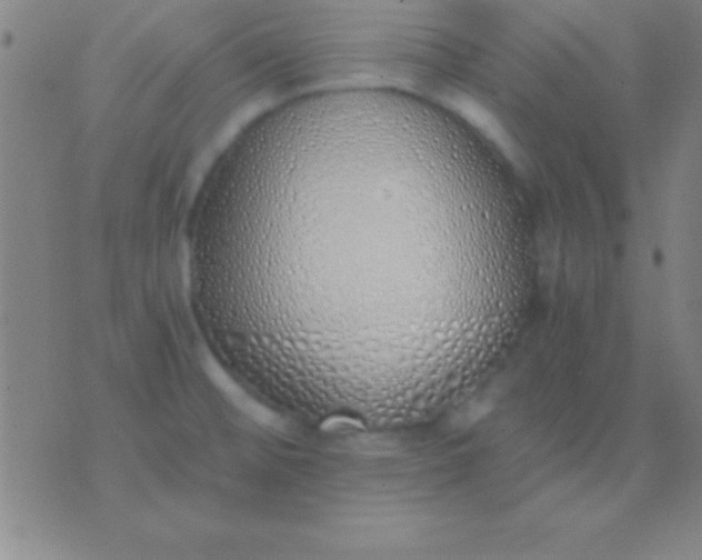 X0000076371476200610202002