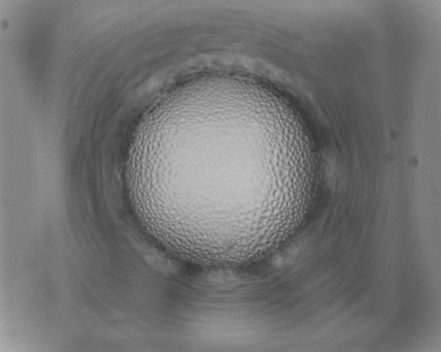 X0000076371489200610202001