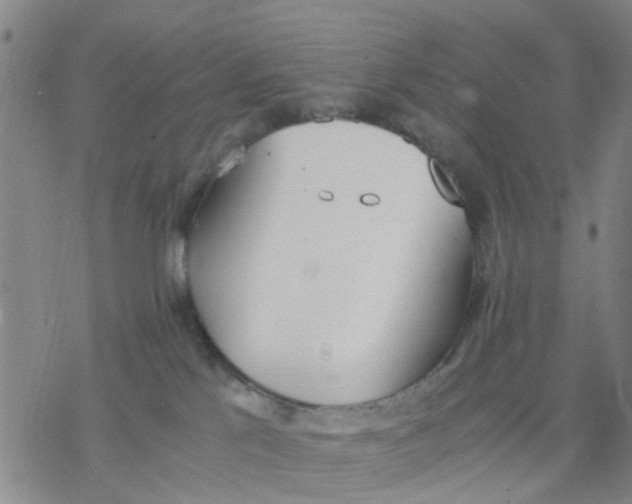 X0000076370041200610271514