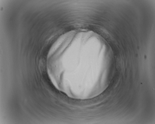 X0000076370043200610271514