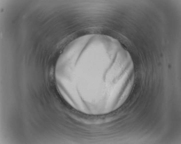 X0000076370047200610271514