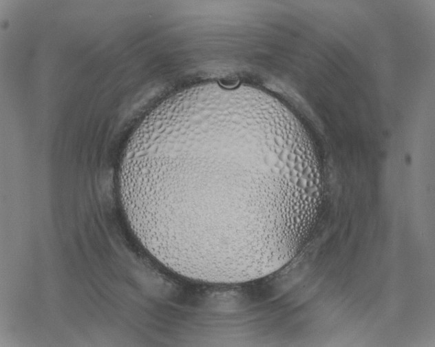 X0000076370066200610271513