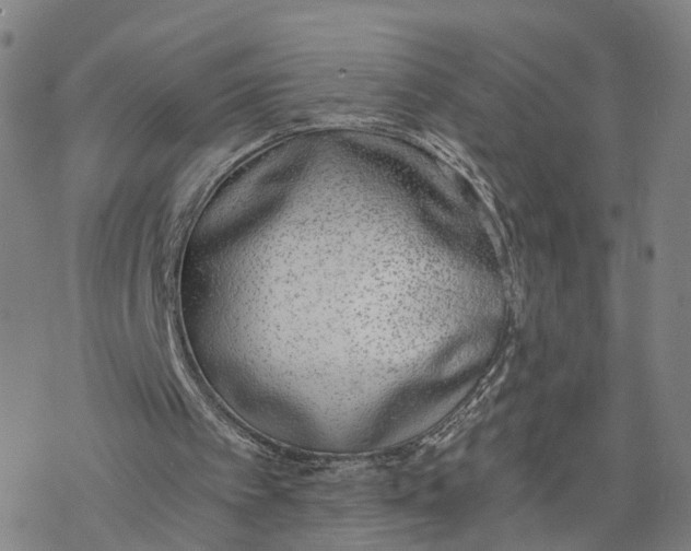 X0000076370097200610271513
