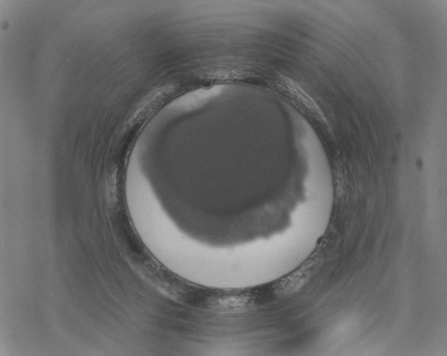 X0000076370163200610271512