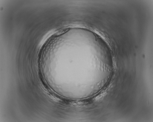 X0000076370199200610271511
