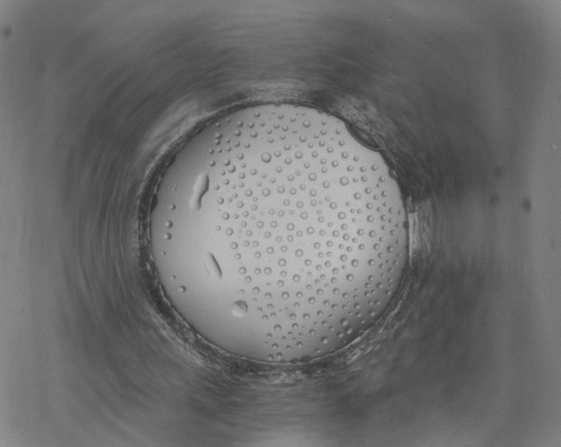 X0000076370243200610271510