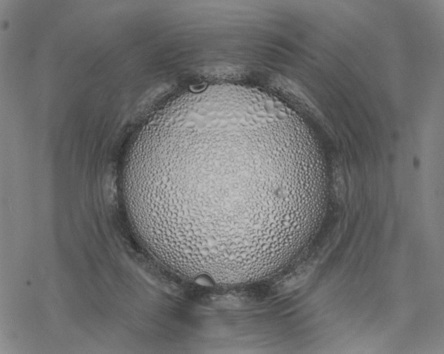 X0000076370259200610271510