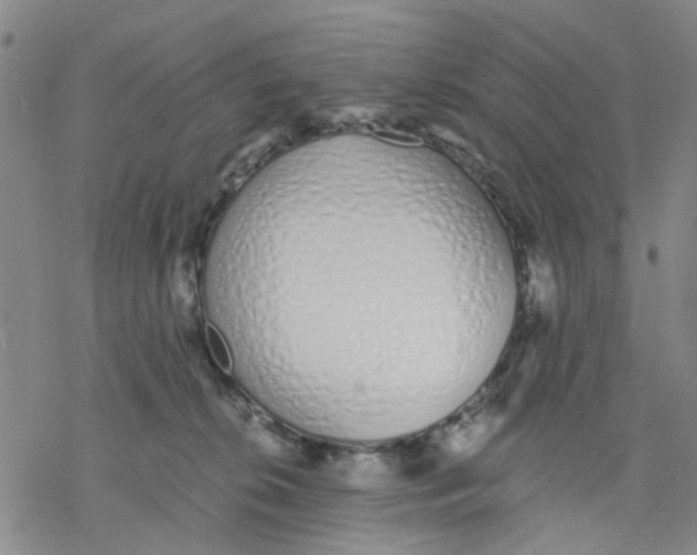X0000076370276200610271510